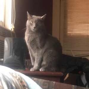 Meet your Posher, Vickie